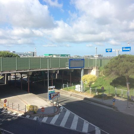 比萨朱利亚茵住宿加早餐旅馆公寓 外观 照片